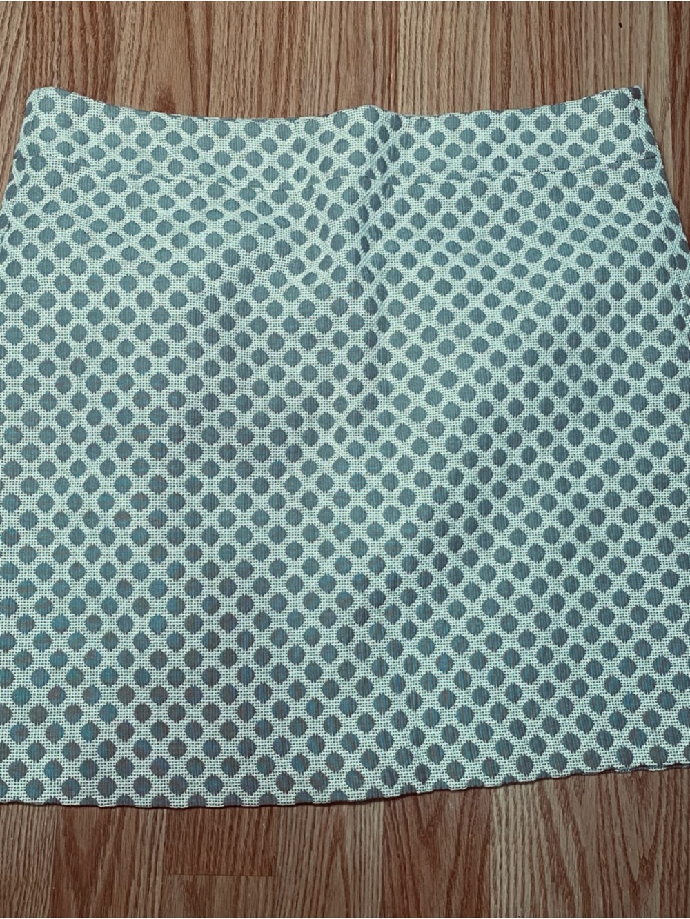LOFT Light Blue Polka-Dot Mini Skirt Size 10